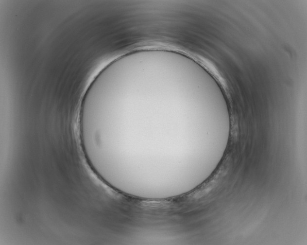 X0000111250863200907021018