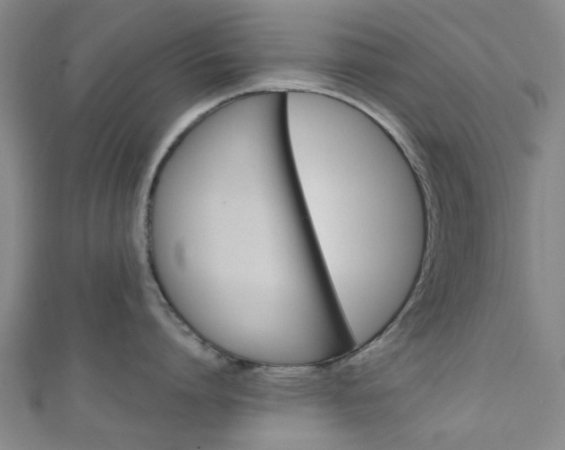 X0000111250864200907021018