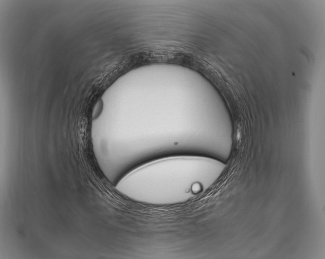 X0000111250867200907021018