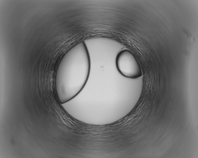 X0000111250868200907021018