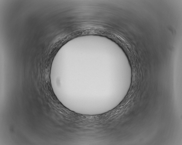 X0000111250869200907021018
