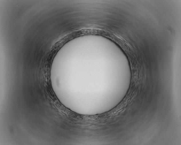X0000111250870200907021018