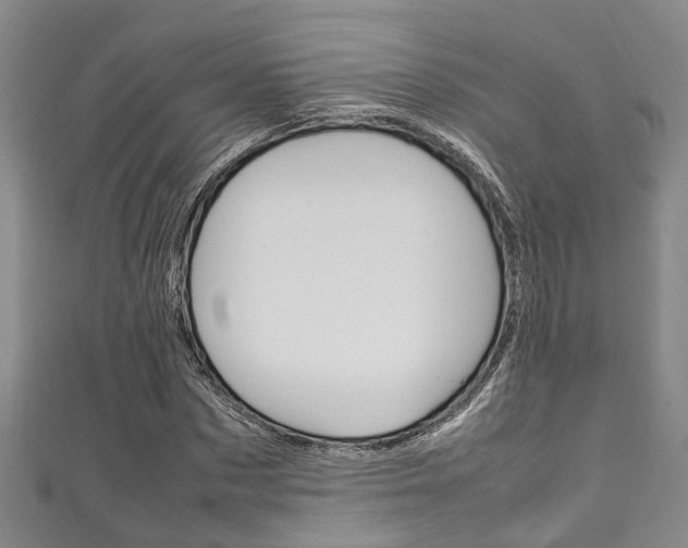X0000111250873200907021018