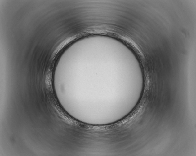 X0000111250874200907021018