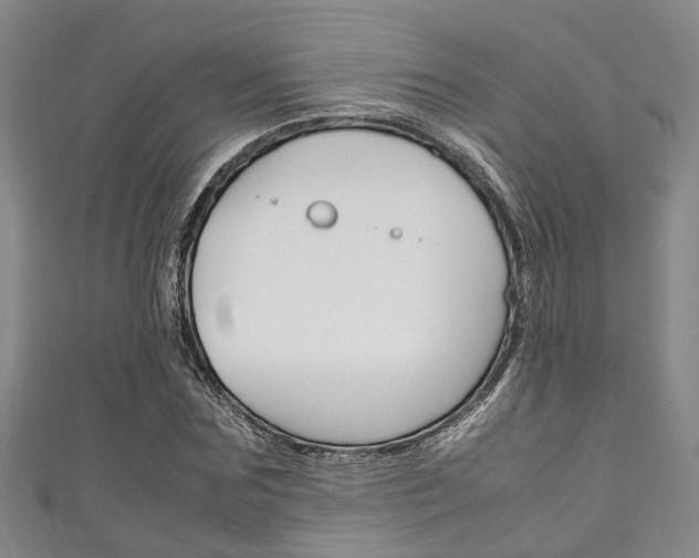 X0000111250875200907021017