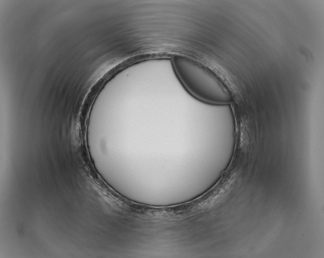 X0000111250876200907021017