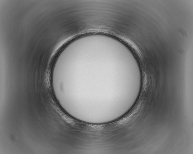 X0000111250878200907021017
