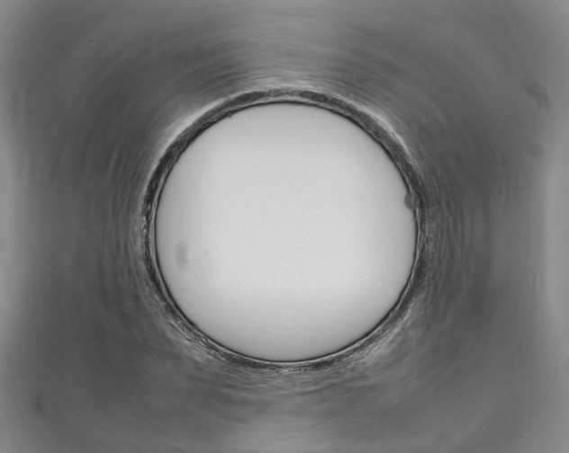 X0000111250879200907021017