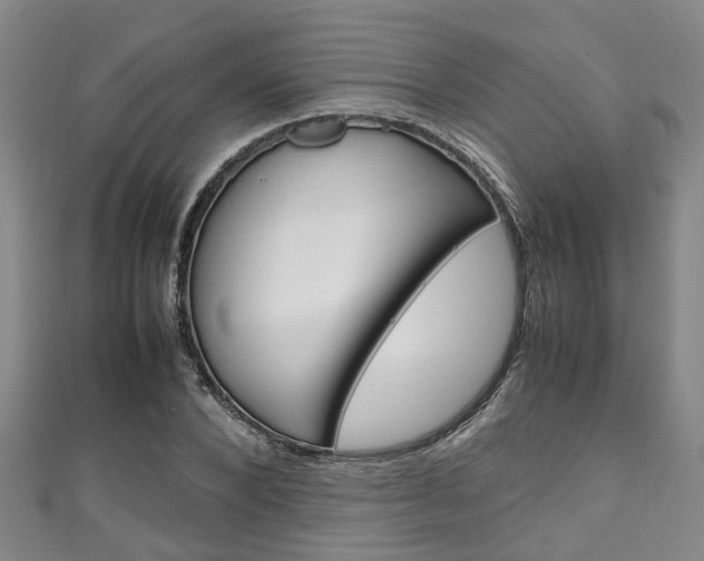 X0000111250880200907021017