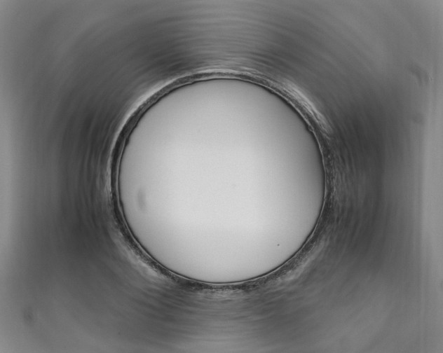 X0000111250884200907021017
