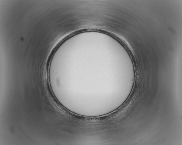 X0000111250887200907021017