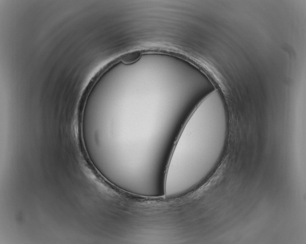 X0000111250888200907021017