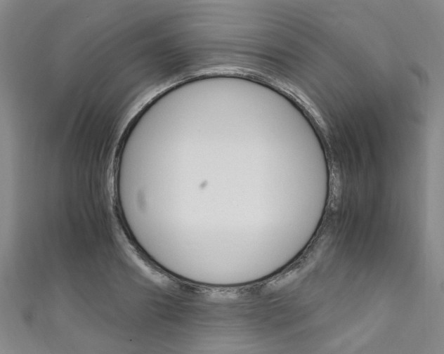 X0000111250890200907021017