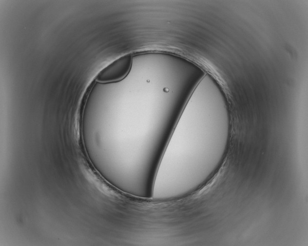 X0000111250892200907021017
