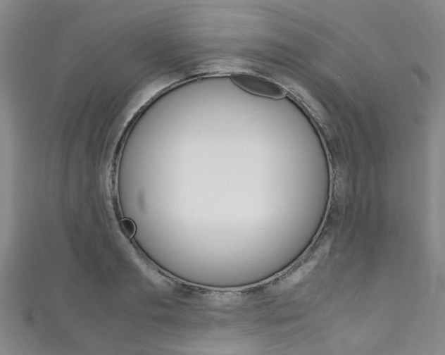 X0000111250893200907021017