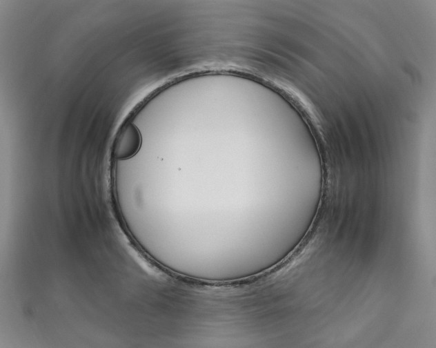 X0000111250894200907021017