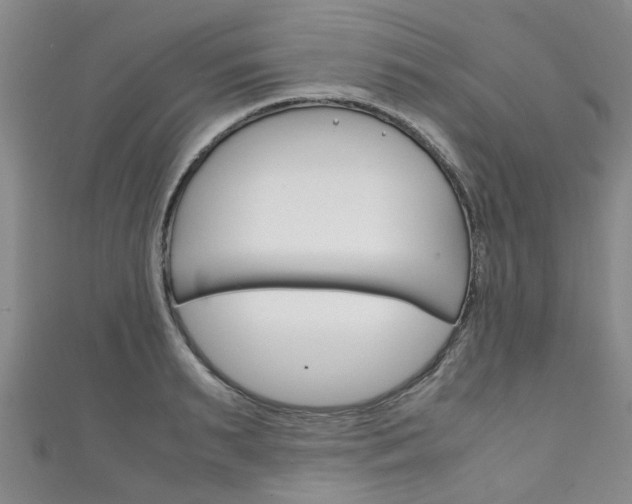 X0000111250895200907021017