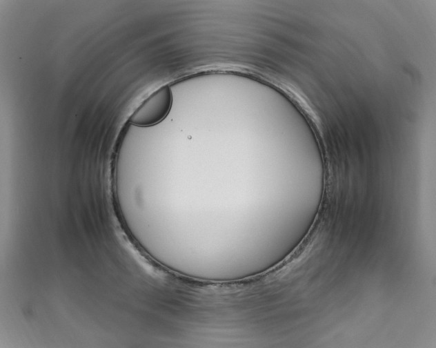 X0000111250898200907021017