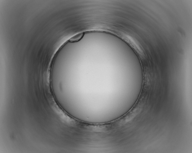 X0000111250900200907021017