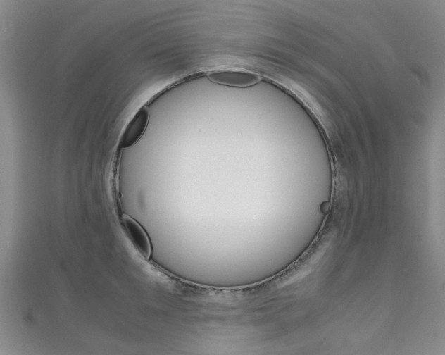 X0000111250901200907021017