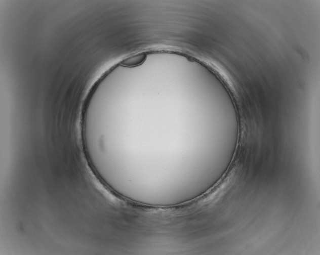 X0000111250902200907021017