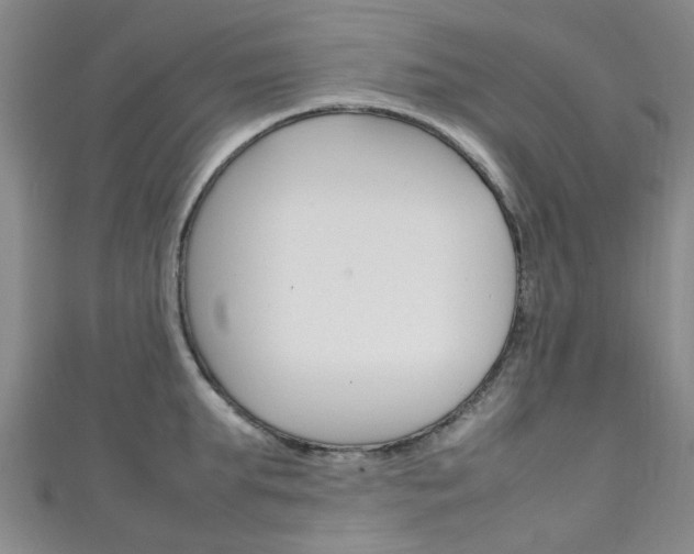 X0000111250903200907021017