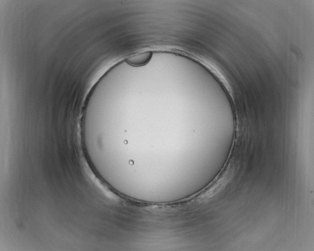 X0000111250906200907021017