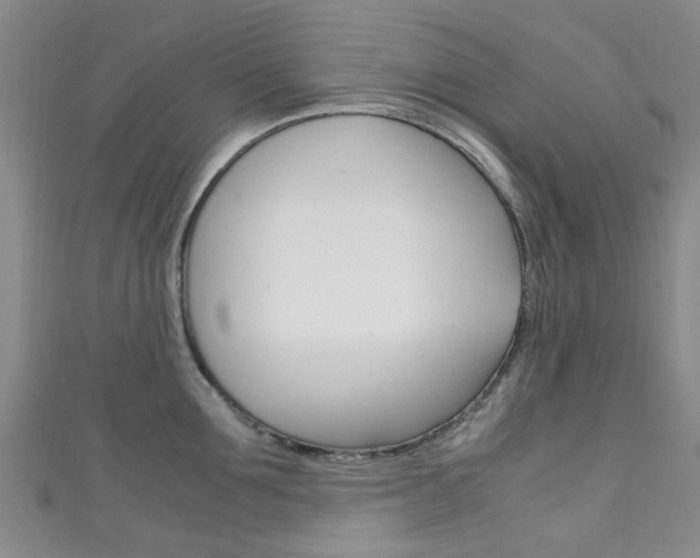 X0000111250907200907021017