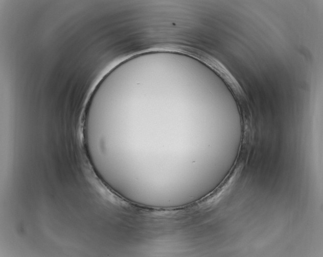 X0000111250908200907021017