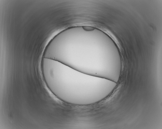 X0000111250909200907021017