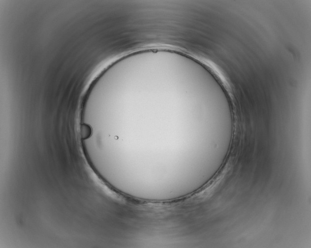 X0000111250910200907021017