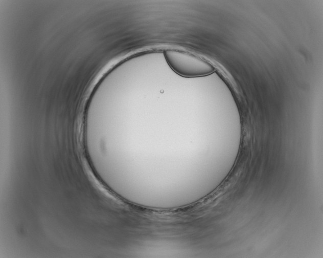 X0000111250911200907021017