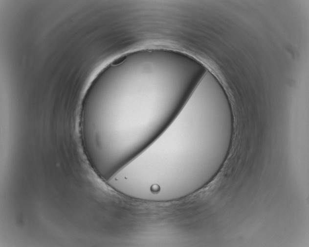 X0000111250912200907021017