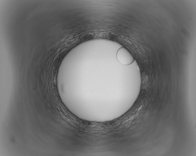 X0000111250913200907021016