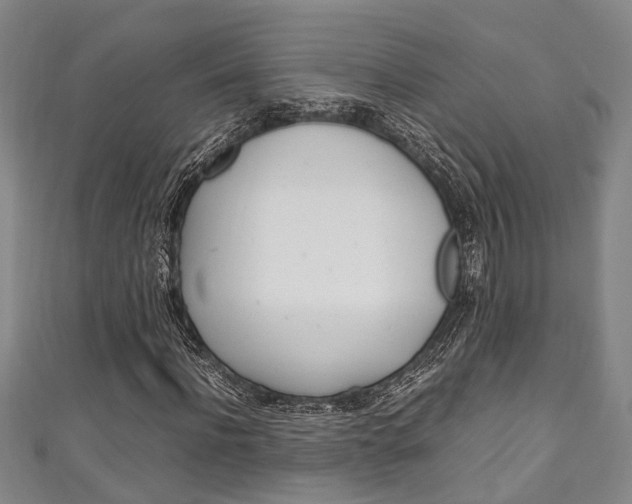 X0000111250916200907021016