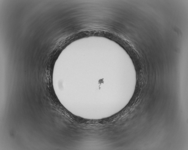 X0000111250918200907021016