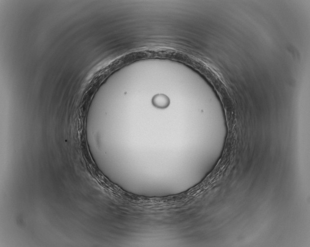 X0000111250920200907021016