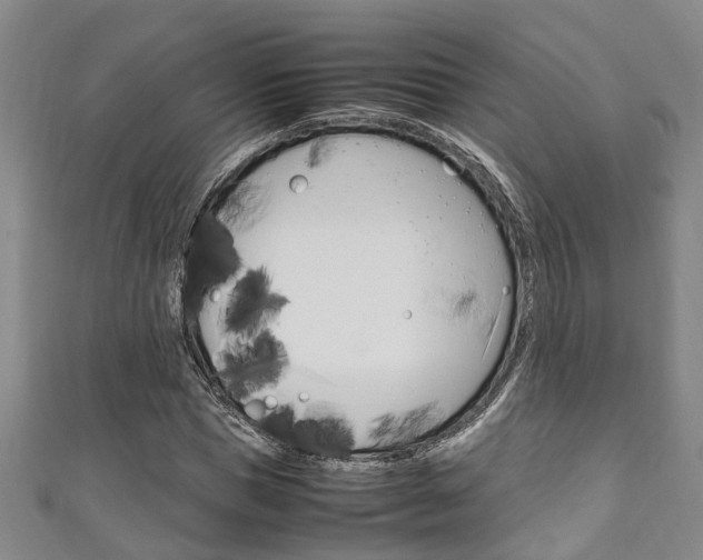 X0000111250921200907021017