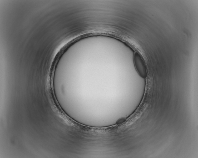 X0000111250928200907021017