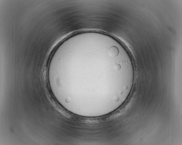 X0000111250933200907021017