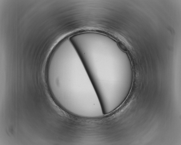 X0000111250934200907021017
