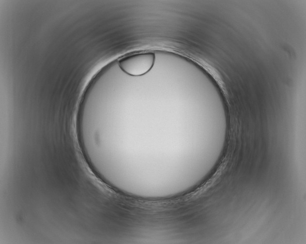 X0000111250936200907021017