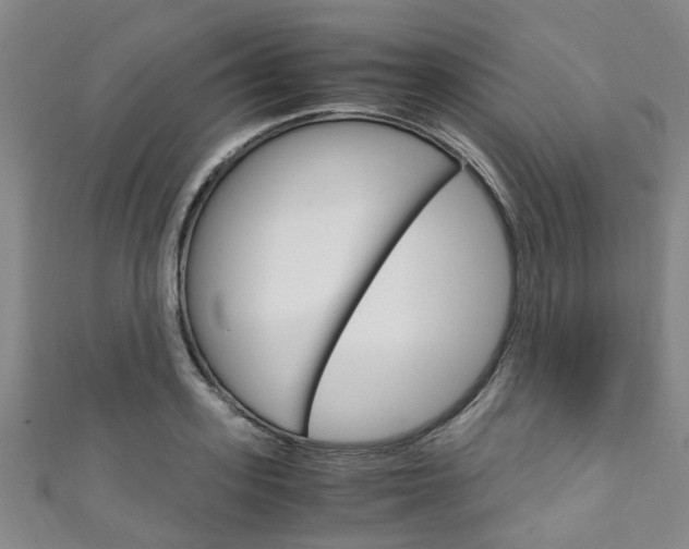 X0000111250939200907021017