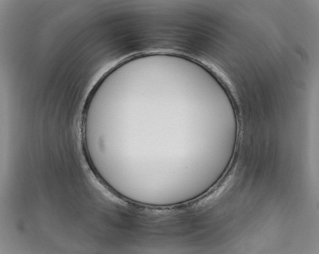 X0000111250941200907021017