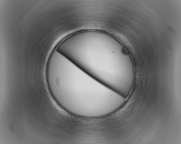 X0000111250942200907021017
