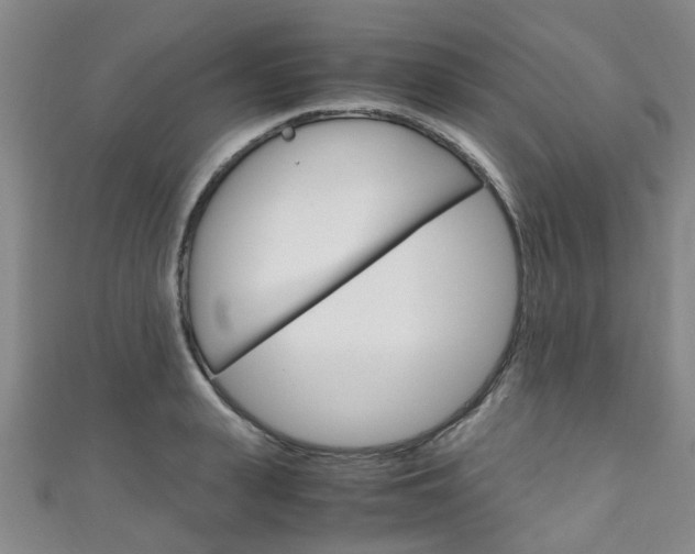 X0000111250943200907021017