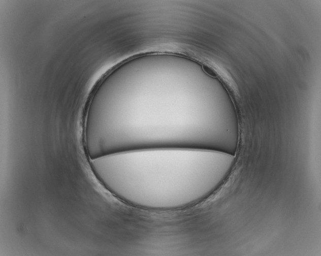 X0000111250944200907021017