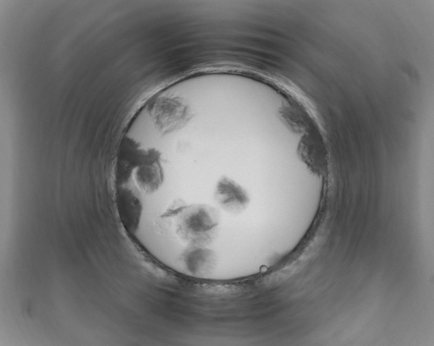 X0000111250945200907021017