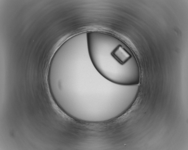 X0000111250946200907021017