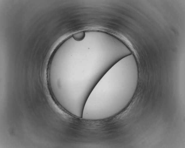 X0000111250947200907021017